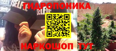ПСИЛОЦИБИНОВЫЕ ГРИБЫ Баксан