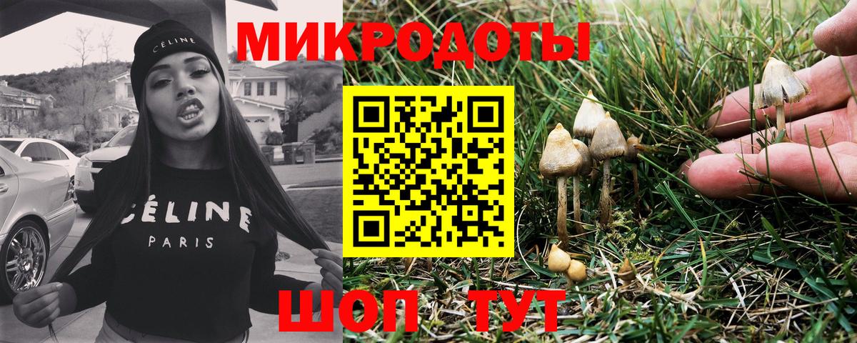 Псилоцибиновые грибы MAGIC MUSHROOMS Корсаков