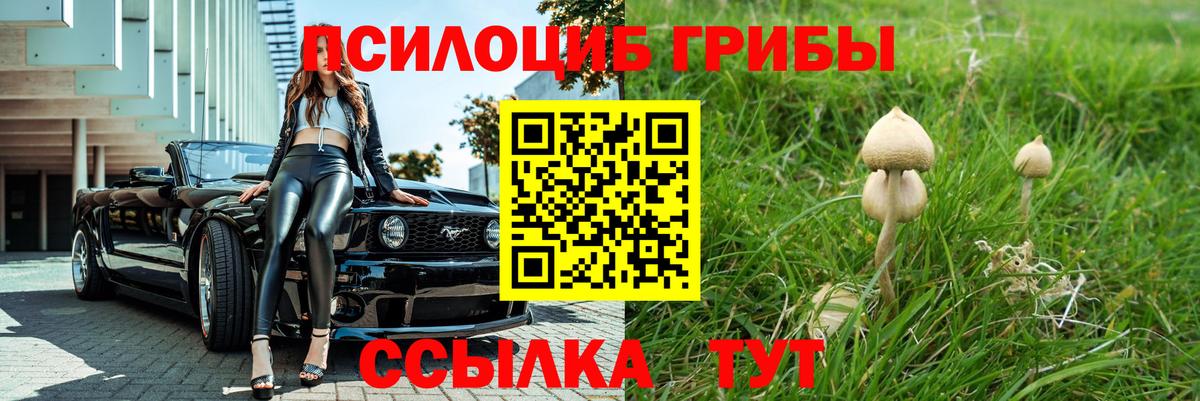 Корсаков  Галлюциногенные грибы Psilocybe  Псилоцибиновые грибы Psilocybine cubensis  что такое   Вход с VPN 